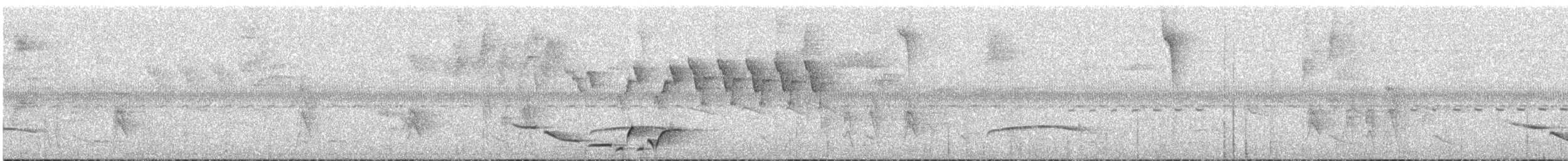 Whiskered Wren - ML634601166