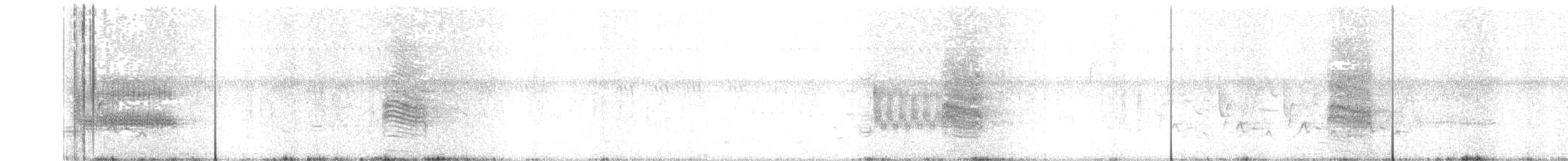 Râle élégant ou R. tapageur - ML63460341