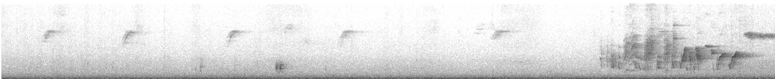 Malaysian Pied-Fantail - ML634609437