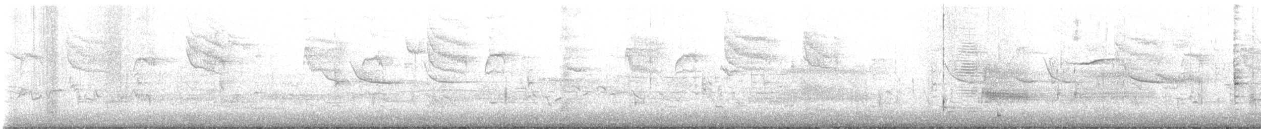 ברחשית כחלחלה - ML634613588
