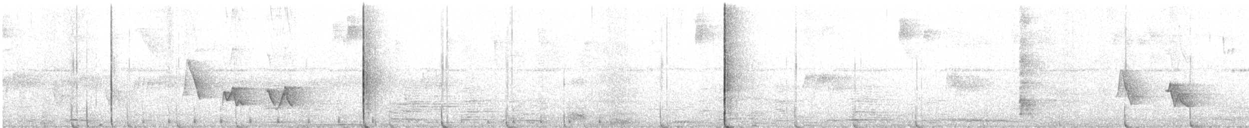 Black-whiskered Vireo - ML634616054