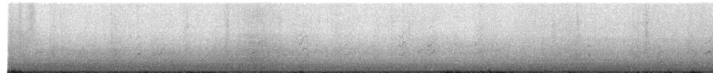 Surfbird - ML634618859
