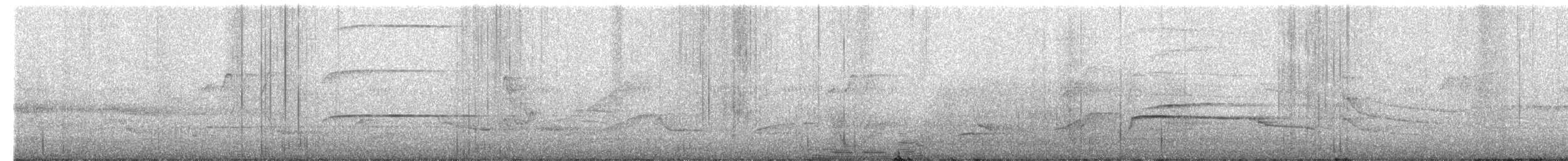 Gray-lined Hawk - ML634620065