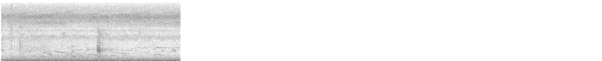 Oriental Pied-Hornbill - ML634622755