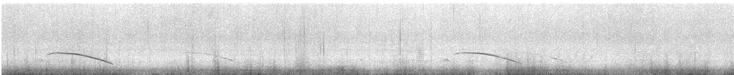 Karoo Long-billed Lark (Karoo) - ML634623634