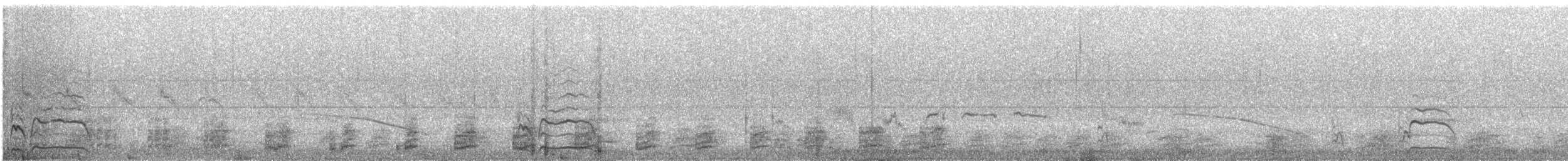 Namaqua Sandgrouse - ML634624729