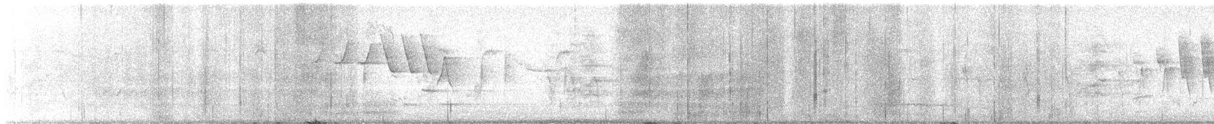 Wilson's Warbler - ML634632754