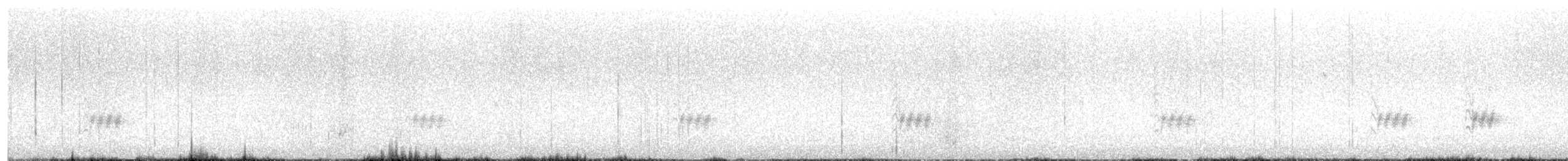 Bewick's Wren (mexicanus Group) - ML634634097
