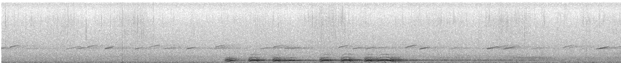 Barred Owl - ML634638582