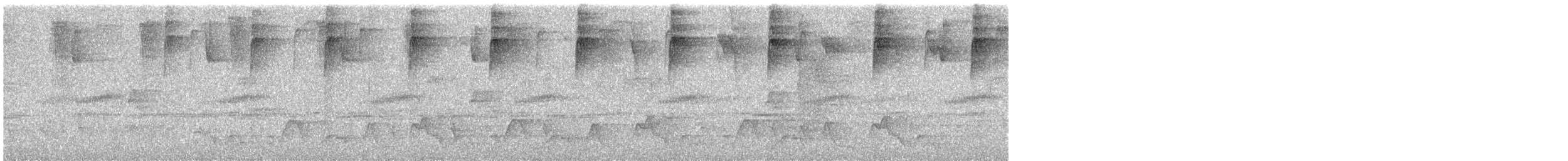 Plain-tailed Wren - ML634640546