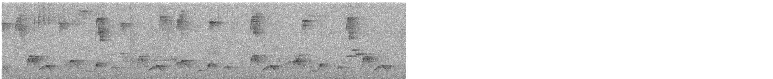 Plain-tailed Wren - ML634640709