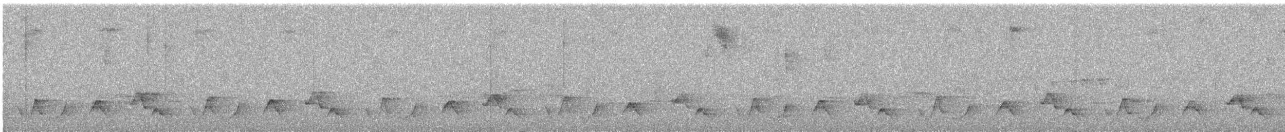 Plain-tailed Wren - ML634640796