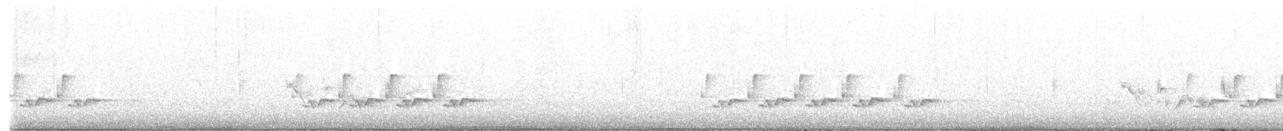 Carolina Wren - ML634643993