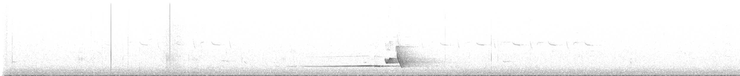Japanese Bush Warbler - ML634649104