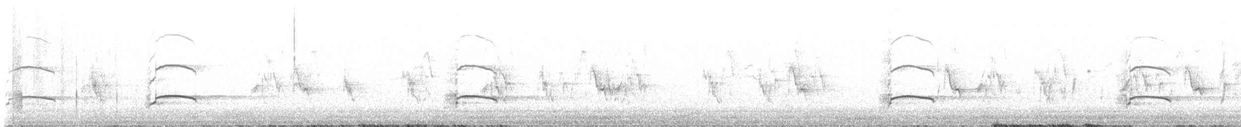 dytík úhorní - ML634652876