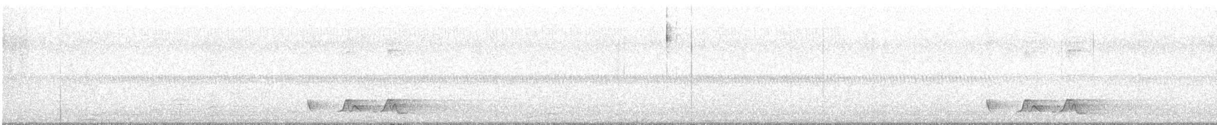 Chuck-will's-widow - ML634654525