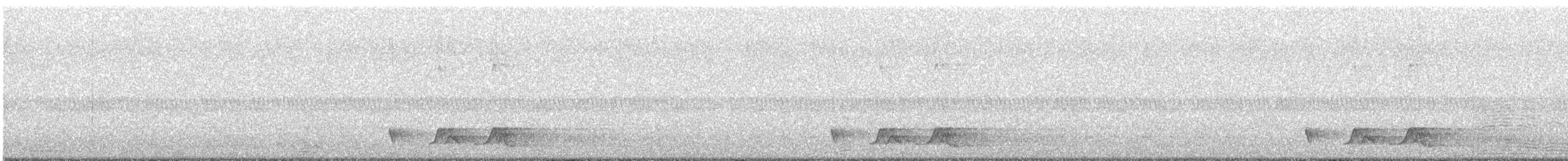 Chuck-will's-widow - ML634654736