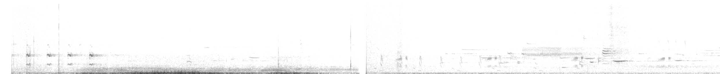 Polluela Sora - ML634657164