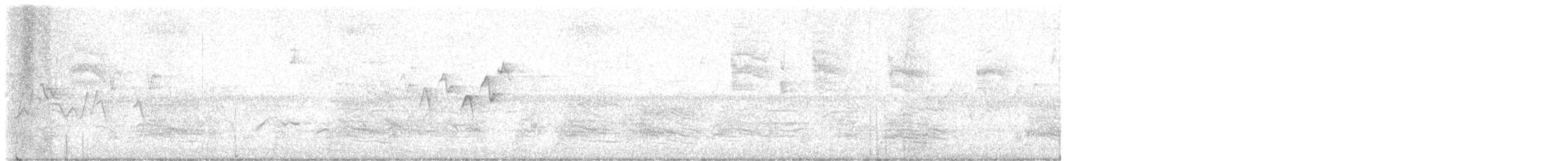 Magnolia Warbler - ML634658885