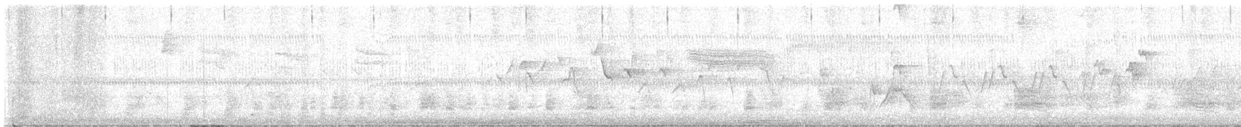 Magnolia Warbler - ML634658995