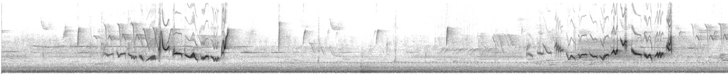 Eastern Warbling Vireo - ML634659418