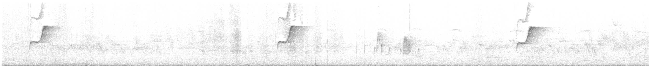 Western Flycatcher (Pacific-slope) - ML634659436