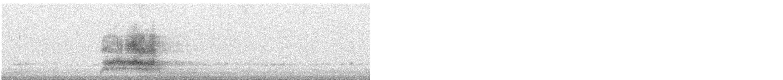 American Barn Owl - ML634661792