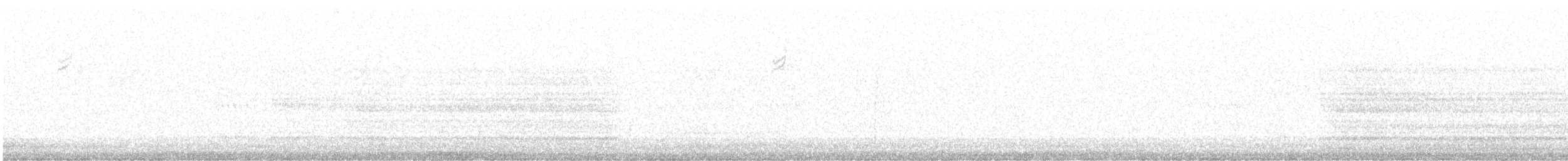 passerine sp. - ML634662211