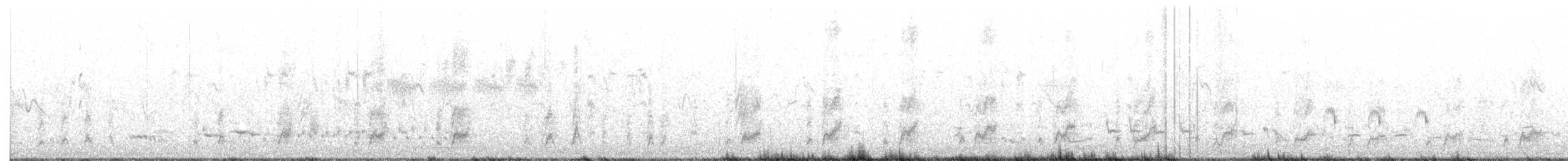 Oie-armée de Gambie - ML634662588