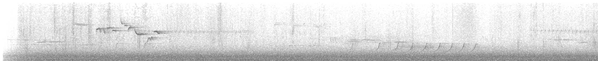 Brown Creeper - ML634663437
