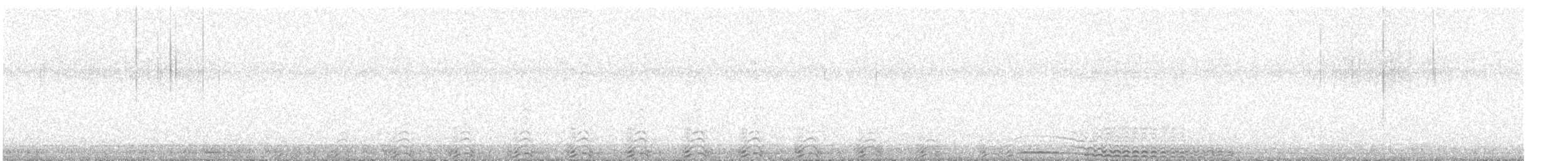 Barred Owl - ML634666438