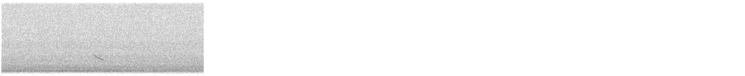 passerine sp. - ML634668024