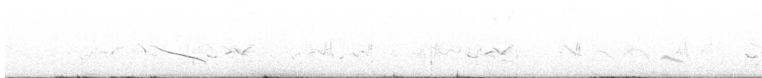 Cape Long-billed Lark - ML634670149