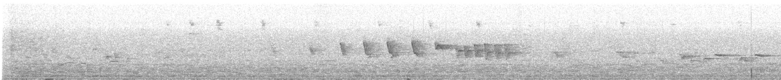 Iberian Chiffchaff - ML634670624