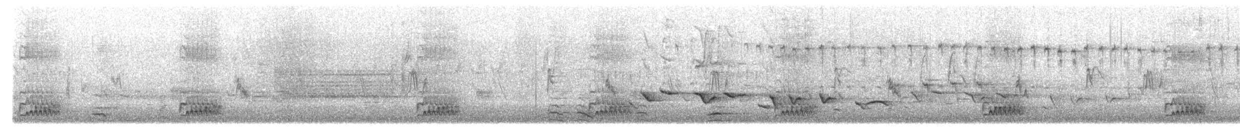 Carolinaspecht - ML634672759