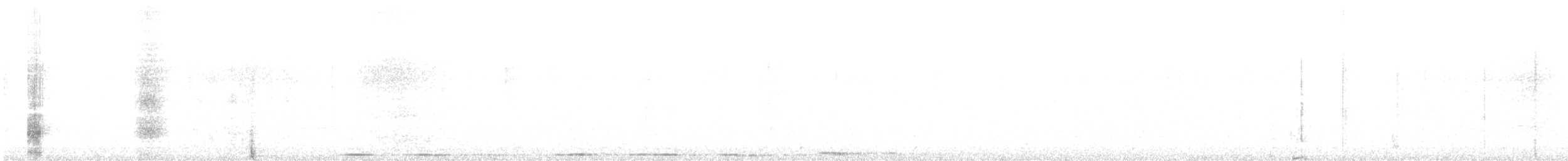 Hybride Chouette tachetée x C. rayée - ML634672925