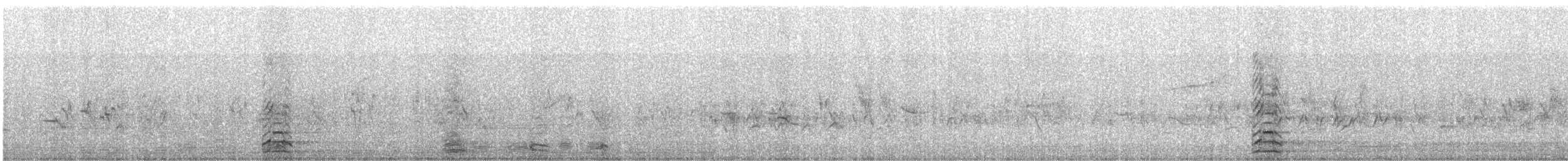 Snow Goose - ML634673368