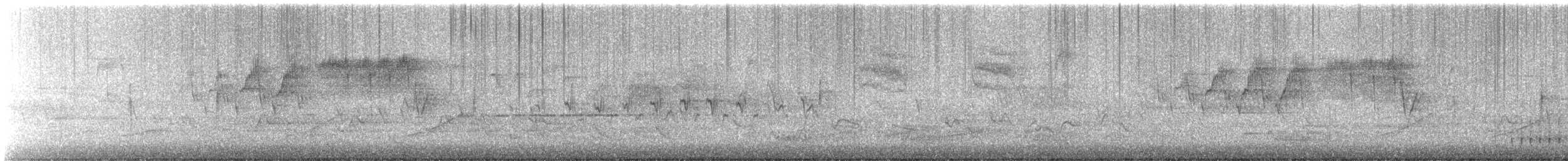 Northern Parula - ML634681211