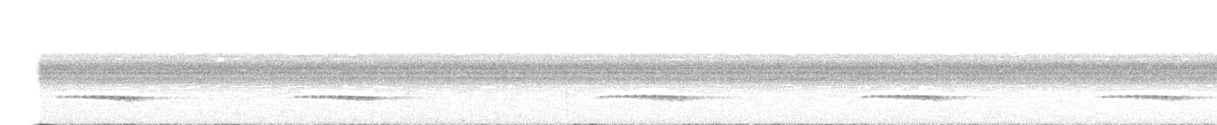 Kestane Karınlı Guguk - ML63468521