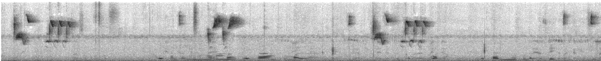 Five-striped Sparrow - ML634686323