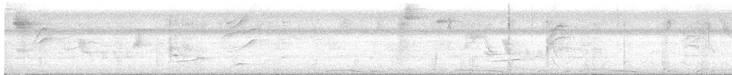 Pale-vented Pigeon - ML634691953
