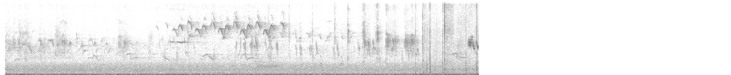 Blackpoll Warbler - ML634692401