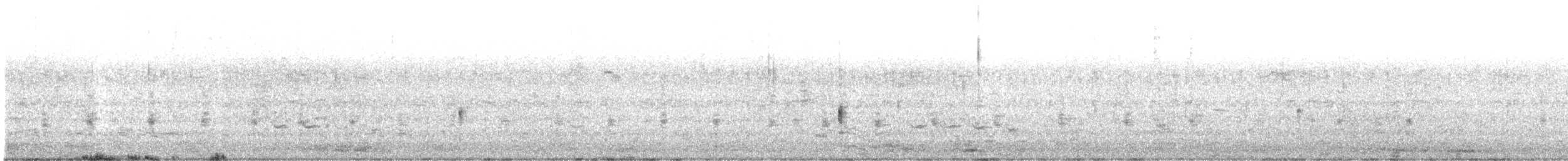 Clapper Rail - ML634693565