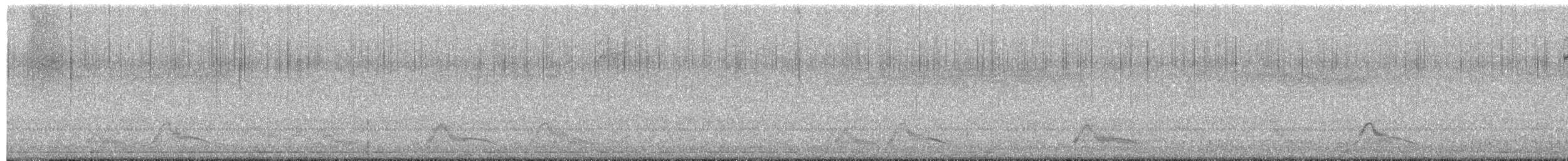 Common Pauraque - ML634693891