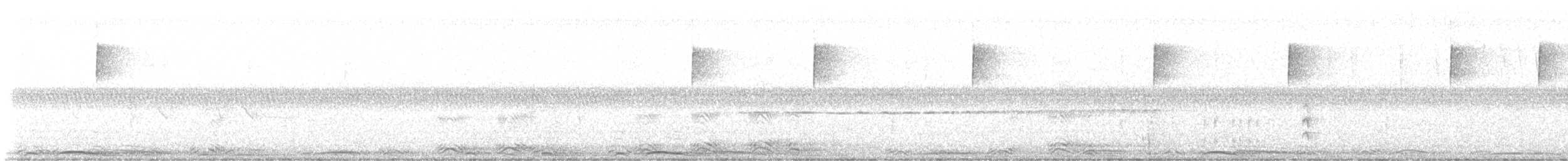 Barred Owl - ML634693972