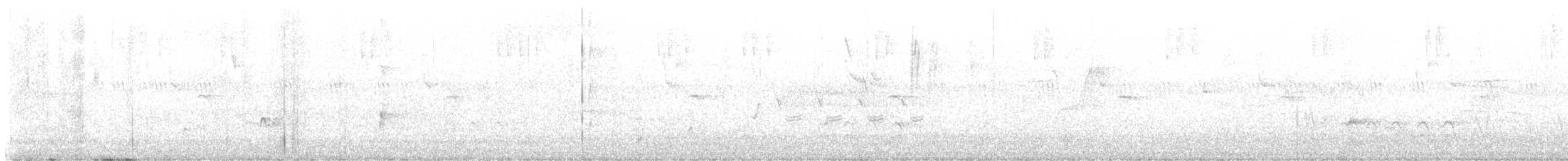 Western Wood-Pewee - ML634694148