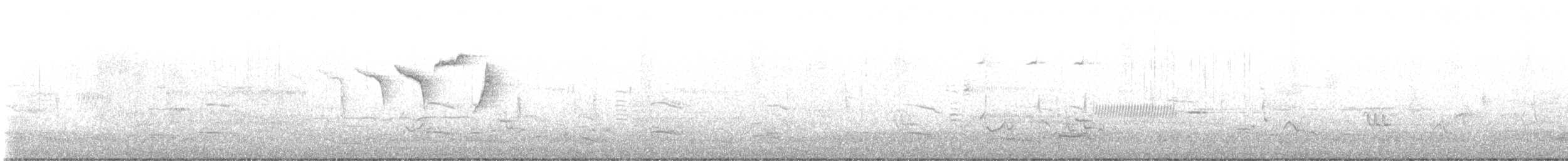 American Redstart - ML634697716