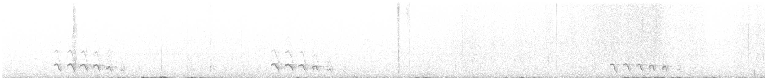 Chevêchette des saguaros - ML634702125