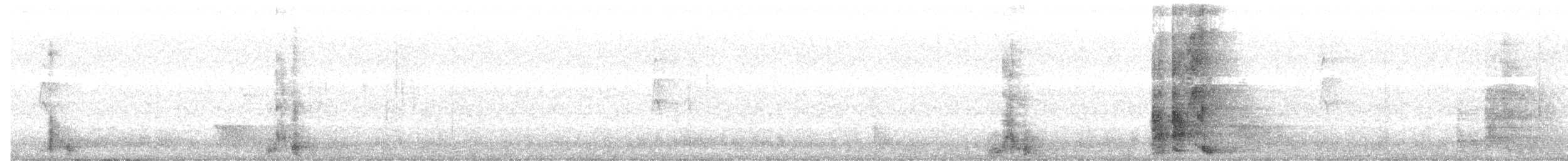 Yellow Wattlebird - ML634705172