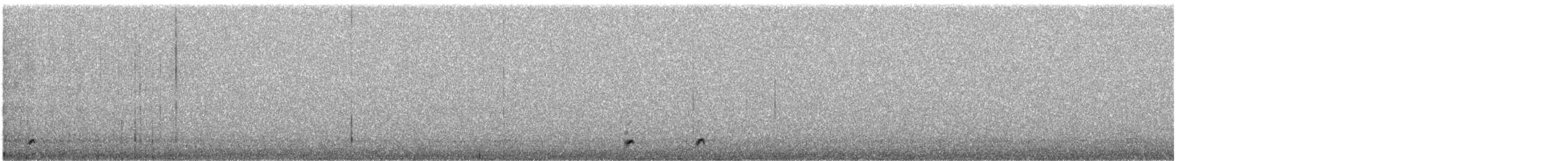 Common Poorwill - ML634707386